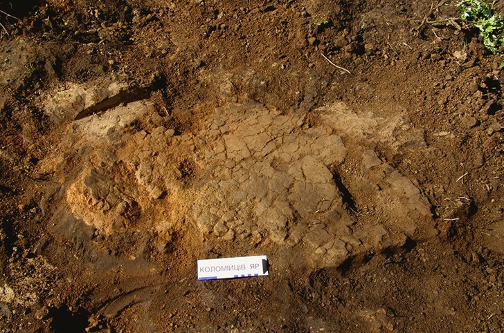 В пошуках трипільських таємниць